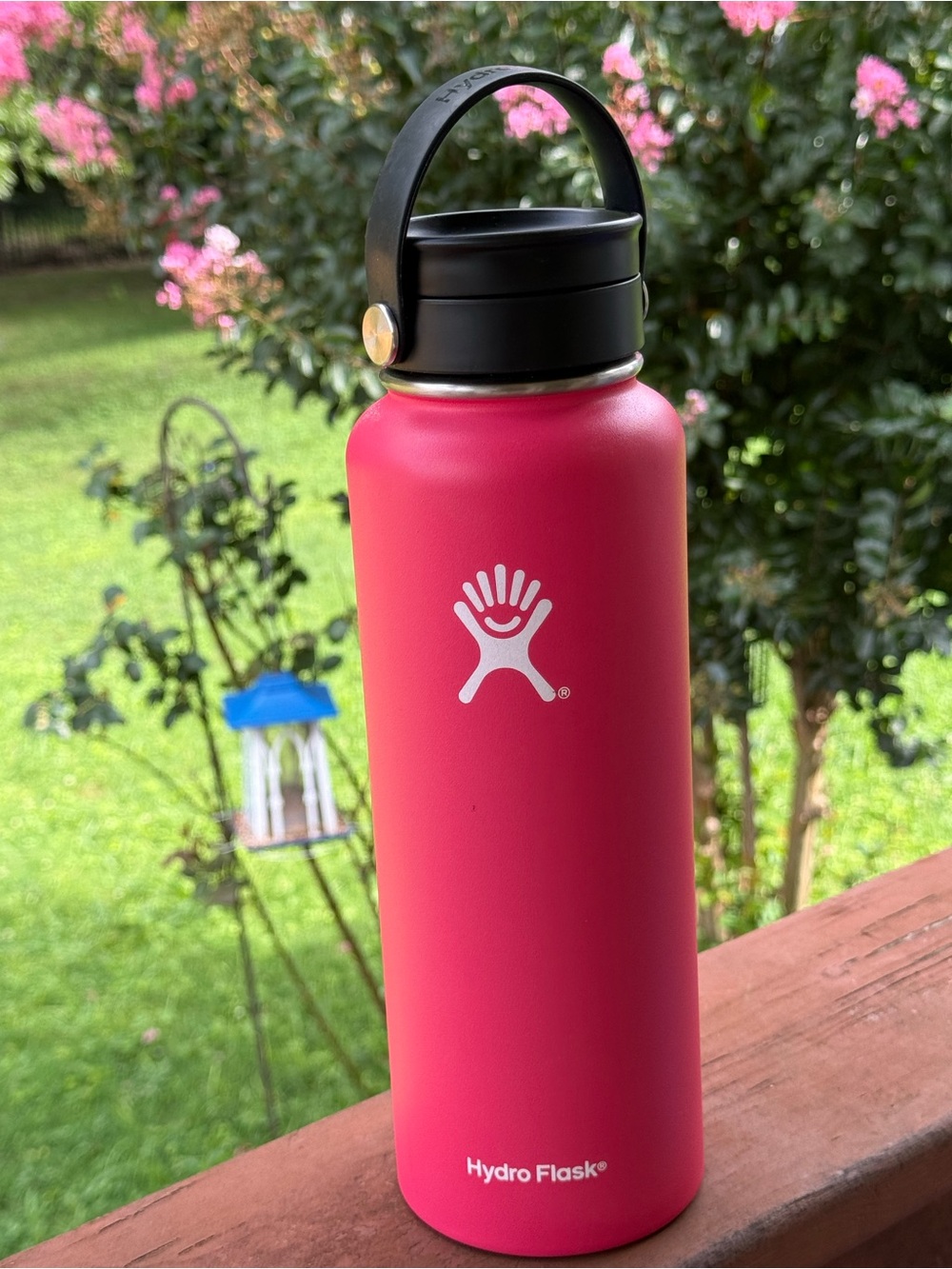 Hydro Flask Watermelon Bottle with Black Carry Cap